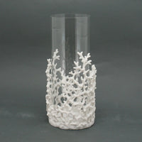 White Coral Hurricane