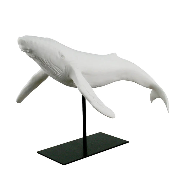 White Sandstone Humpback Whale