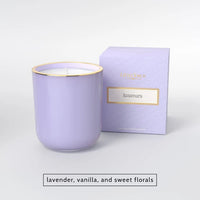 Little Torch Taiga Candle | Woody Green Vegan Coconut Blend