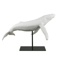 White Sandstone Humpback Whale