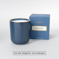 Little Torch Taiga Candle | Woody Green Vegan Coconut Blend