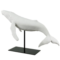 White Sandstone Humpback Whale