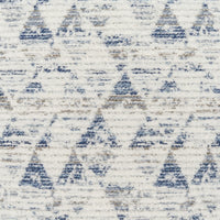 White and Blue Decorative Pillow