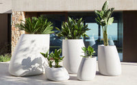 Stone Planter