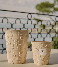 Baobab Collection Paz Paloma