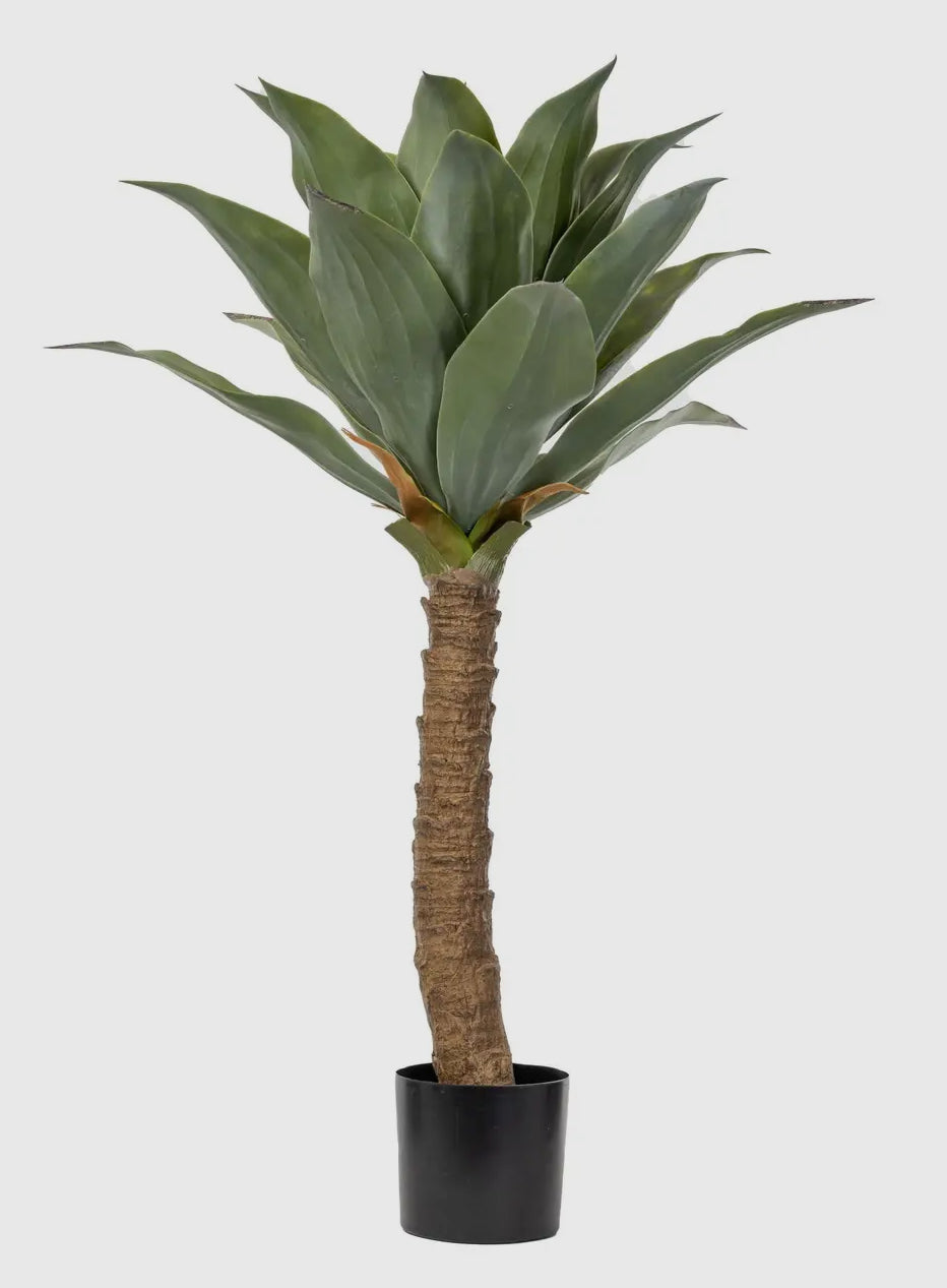 3.5’ Agave Faux