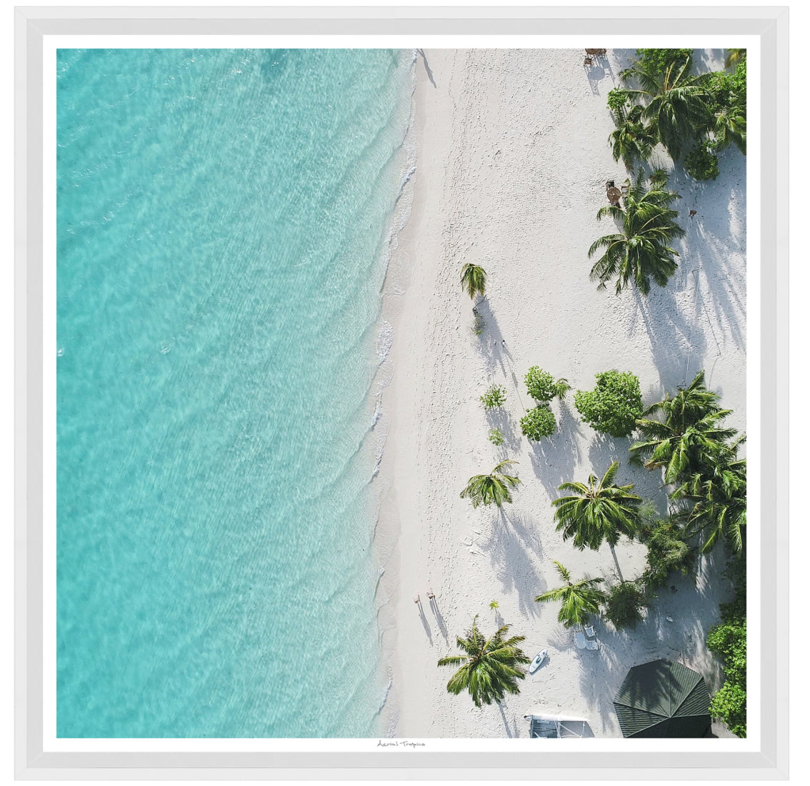 Aerial White Sand Beach 35x35