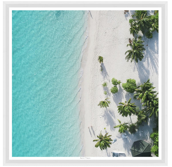 Aerial White Sand Beach 35x35