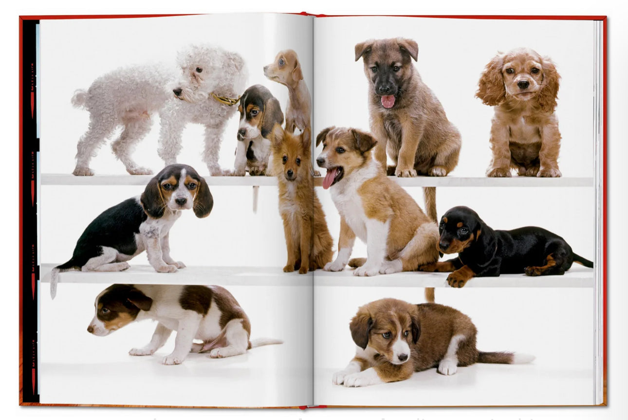 Taschen Dogs walter Chandoha