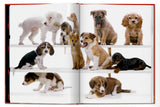 Taschen Dogs walter Chandoha