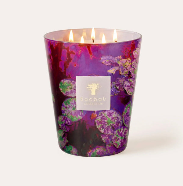 Baobab Flowers Water Lily Candle