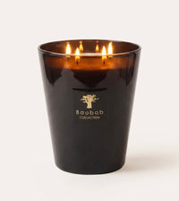 Baobab LES PRESTIGIEUSES ENCRE DE CHINE