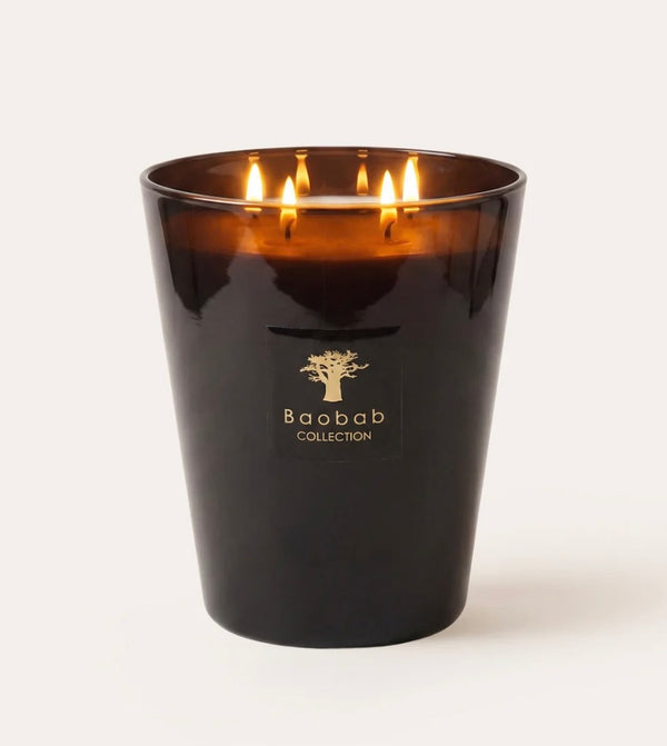 Baobab LES PRESTIGIEUSES ENCRE DE CHINE