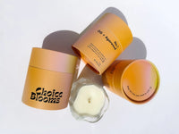 Choice Cactus + Aloe Candle | Organic Hemp Coconut Wax