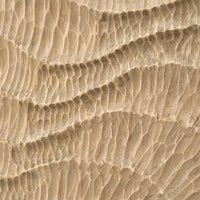 Forest Wall Art S/2