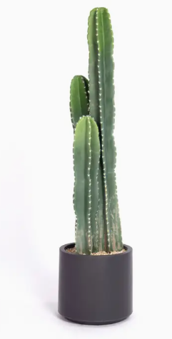 48” Faux Cactus Plant – Gray Planter, No Maintenance