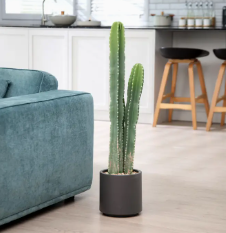 48” Faux Cactus Plant – Gray Planter, No Maintenance