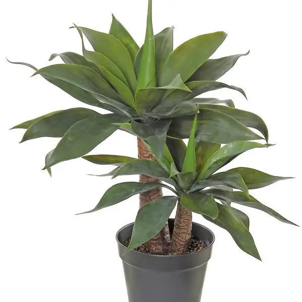 Agave Plant x2 Artificial Plant