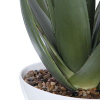 Everado Aloe Planter