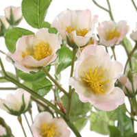 Tranquility Rose Bouquets
