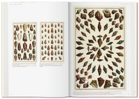 Taschen Seba Cabinet of Natural Curiosities Book