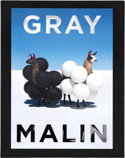 Gray Malin by Abrams