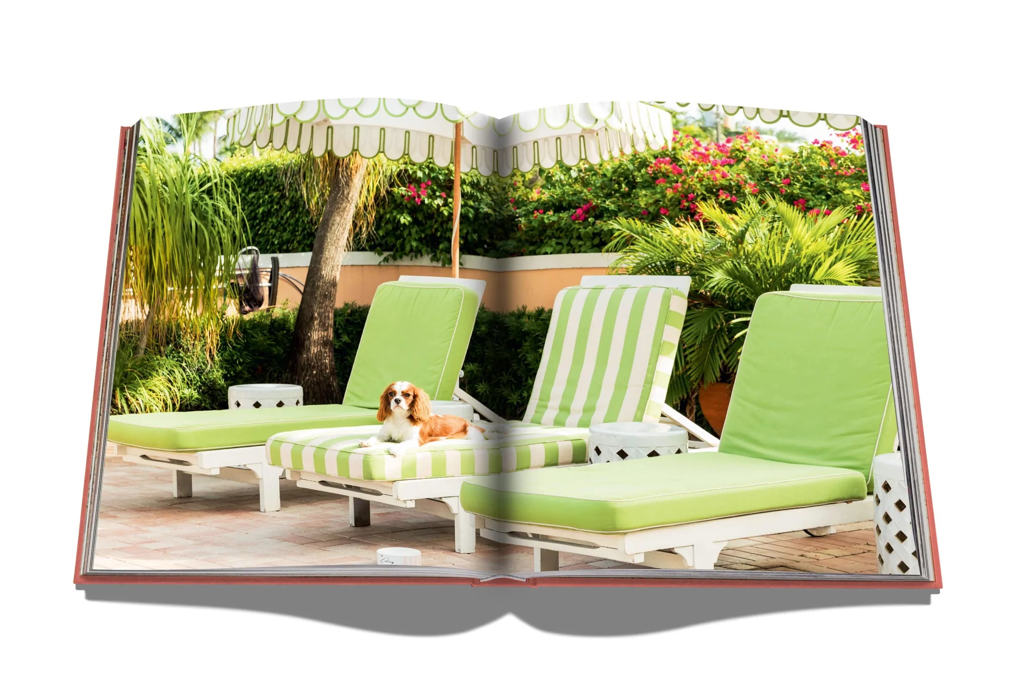 Palm Beach by Assouline