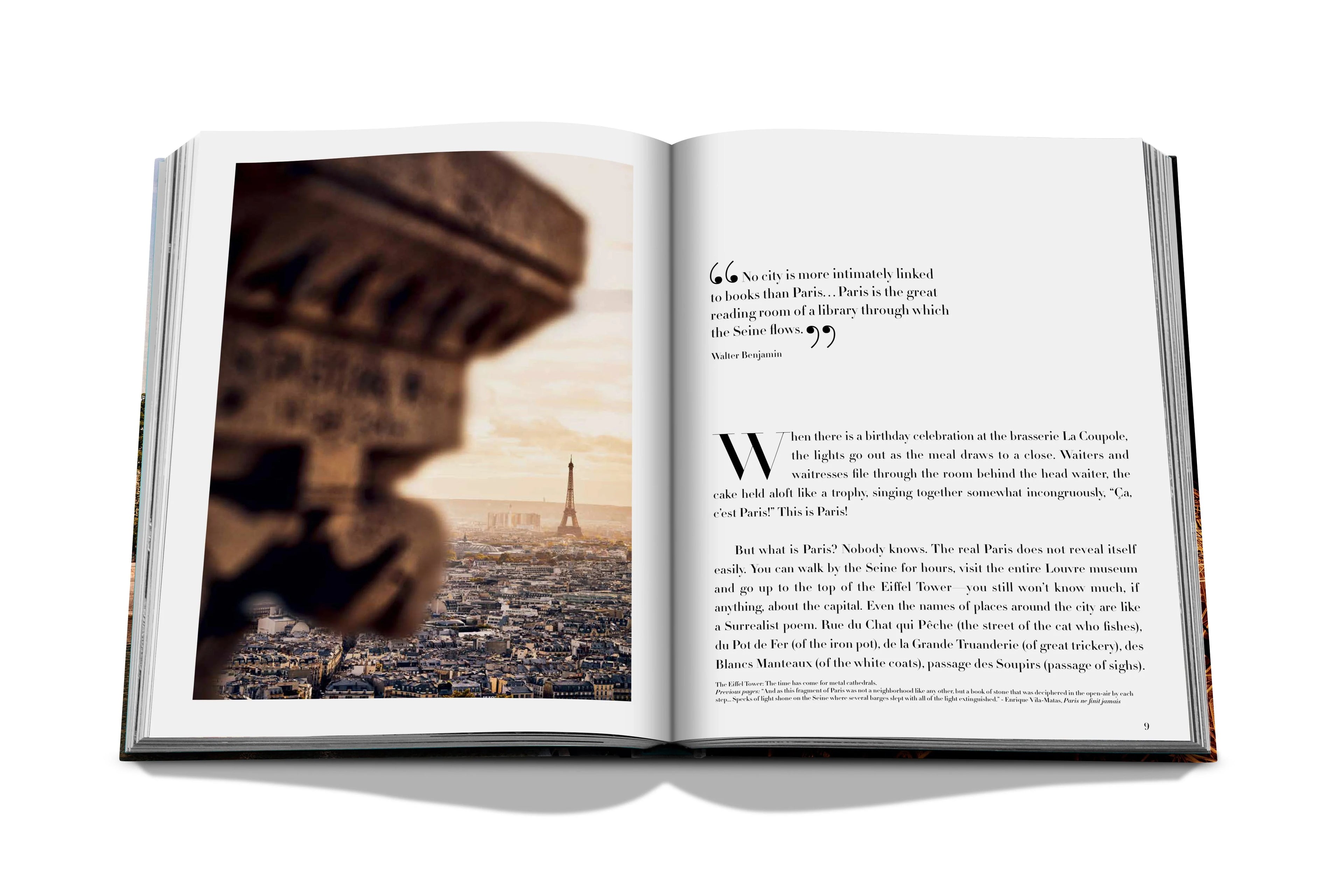 Paris Chic by Assouline