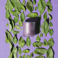 Purple Basil Candle by Apotheke
