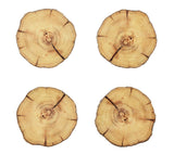 Woodland Drink Coasters in Natural & Brown by Kim Seybert