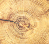 Woodland Placemat in Natural & Brown by Kim Seybert