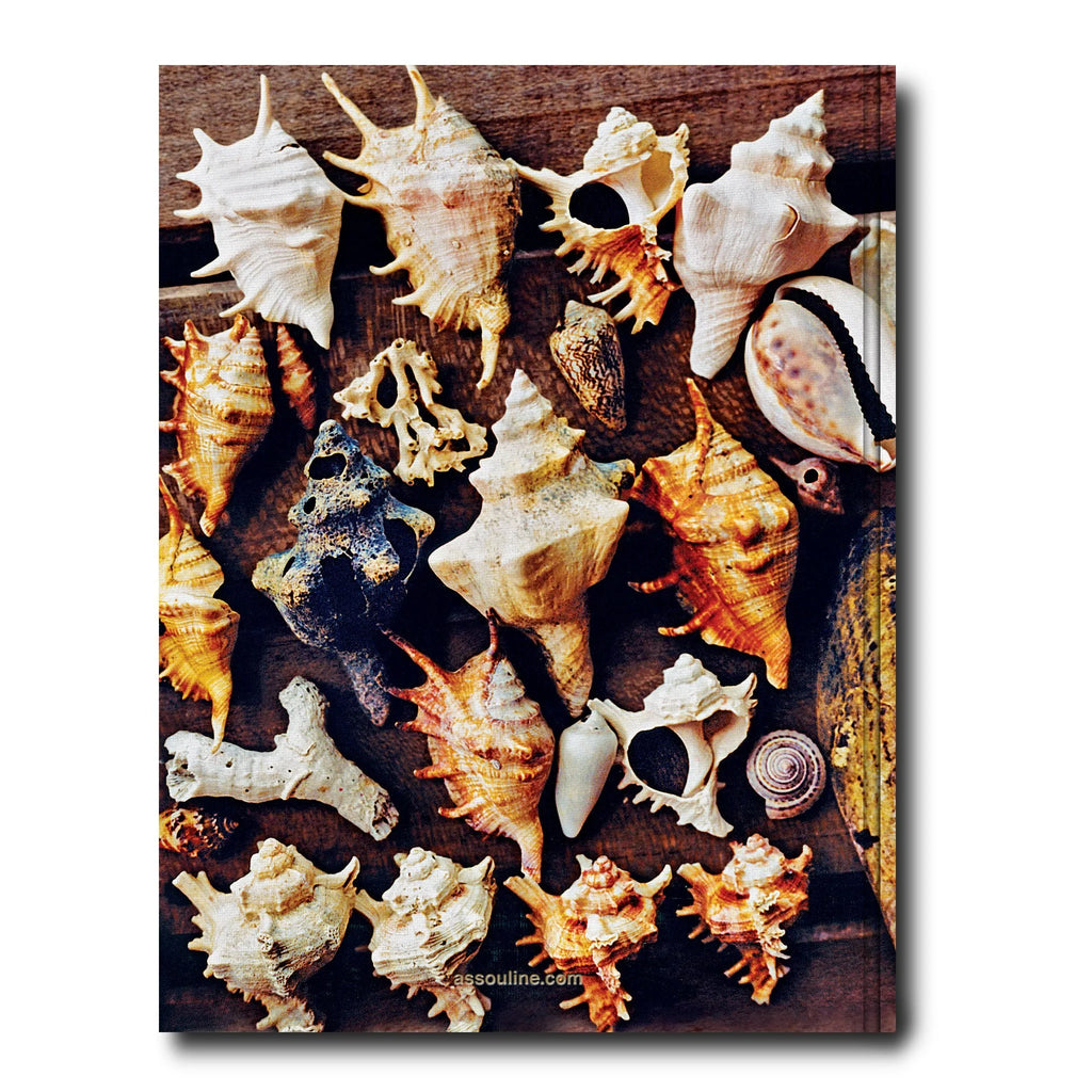 Zanzibar by Assouline